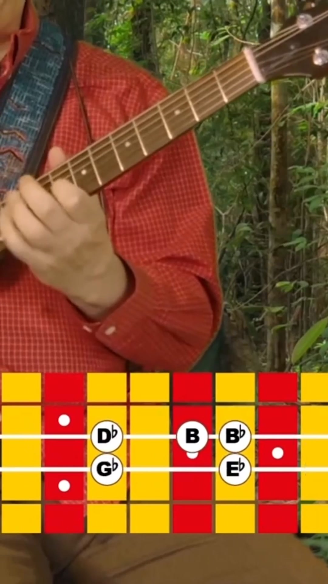 Kurt Rosenwinkel SHEDDING Bundle (19% OFF): Enroll Now!