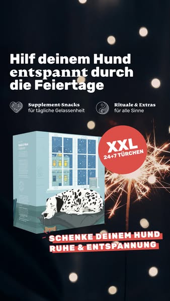 Limitierte Auflage: 31 Tage Entspannung für deinen Hund 🐾