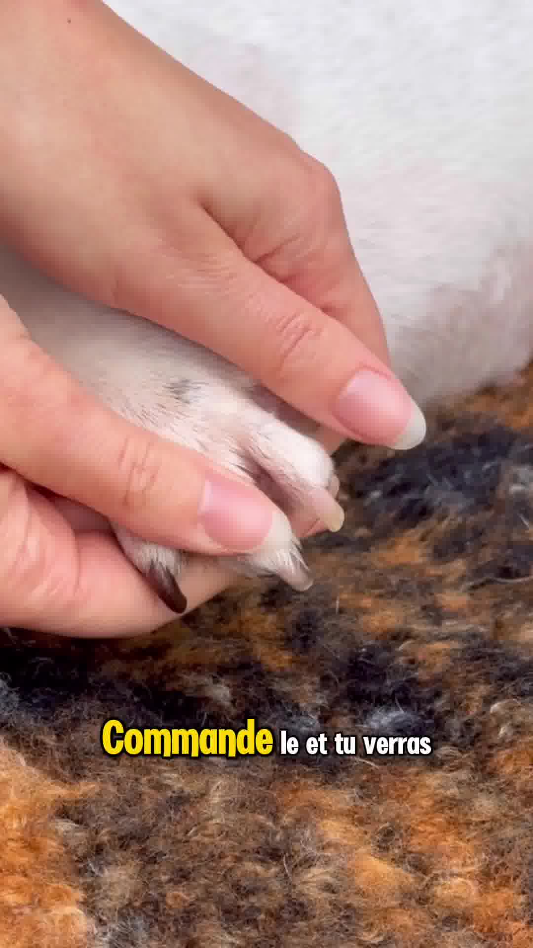 Des milliers de poilus satisfaits 😍