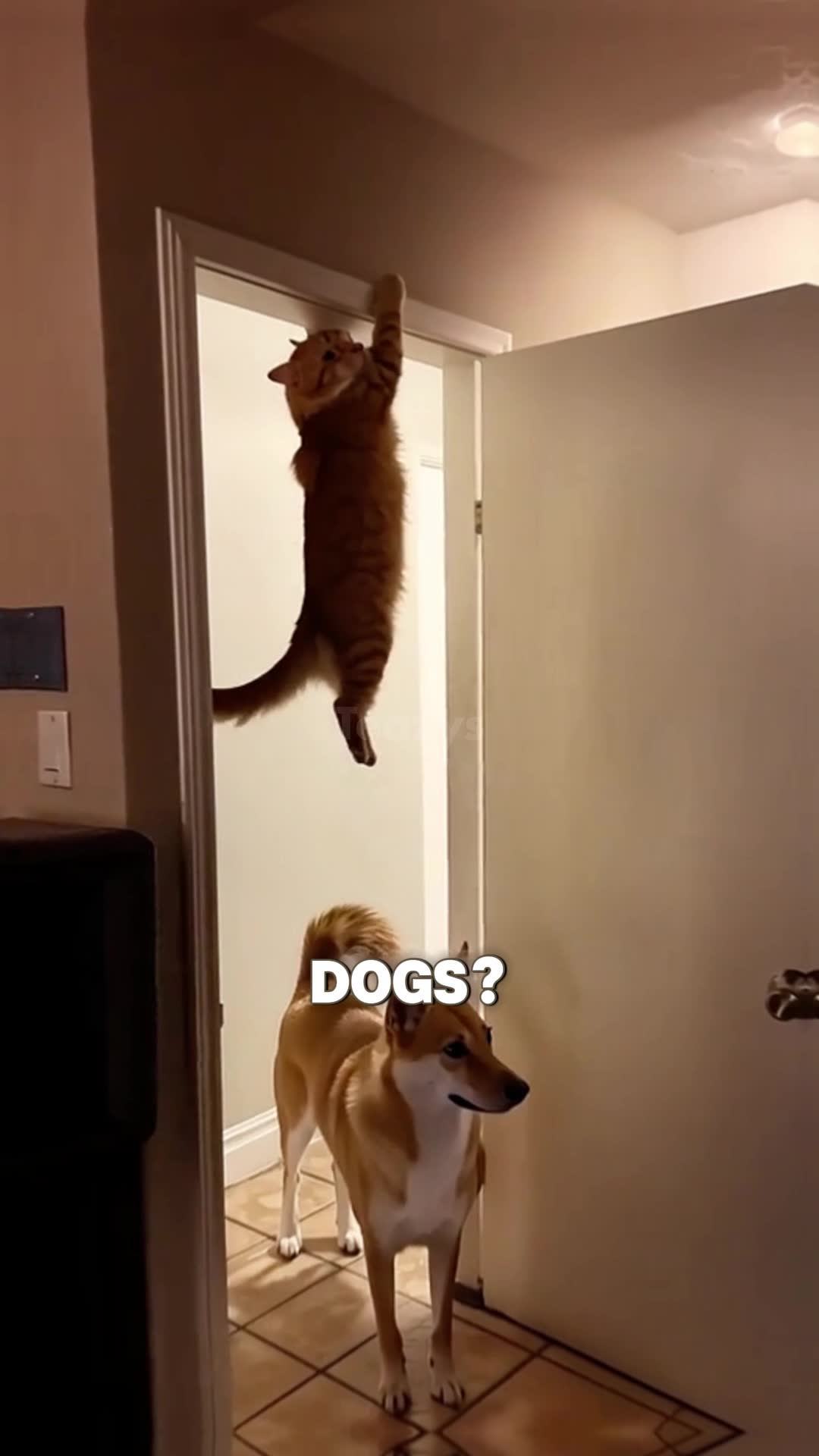 Buy 2 Get 1 Free 🤩