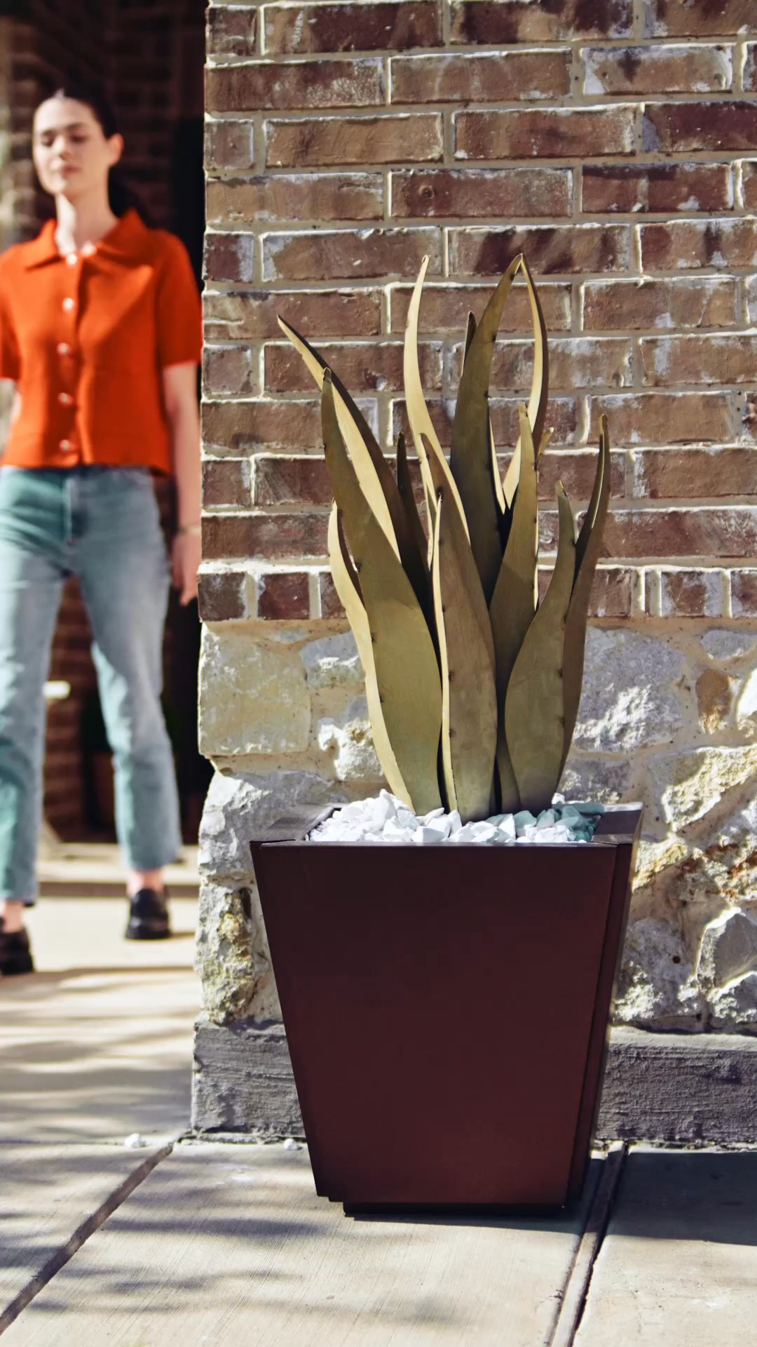 No Hassle, No Watering, No Failure.