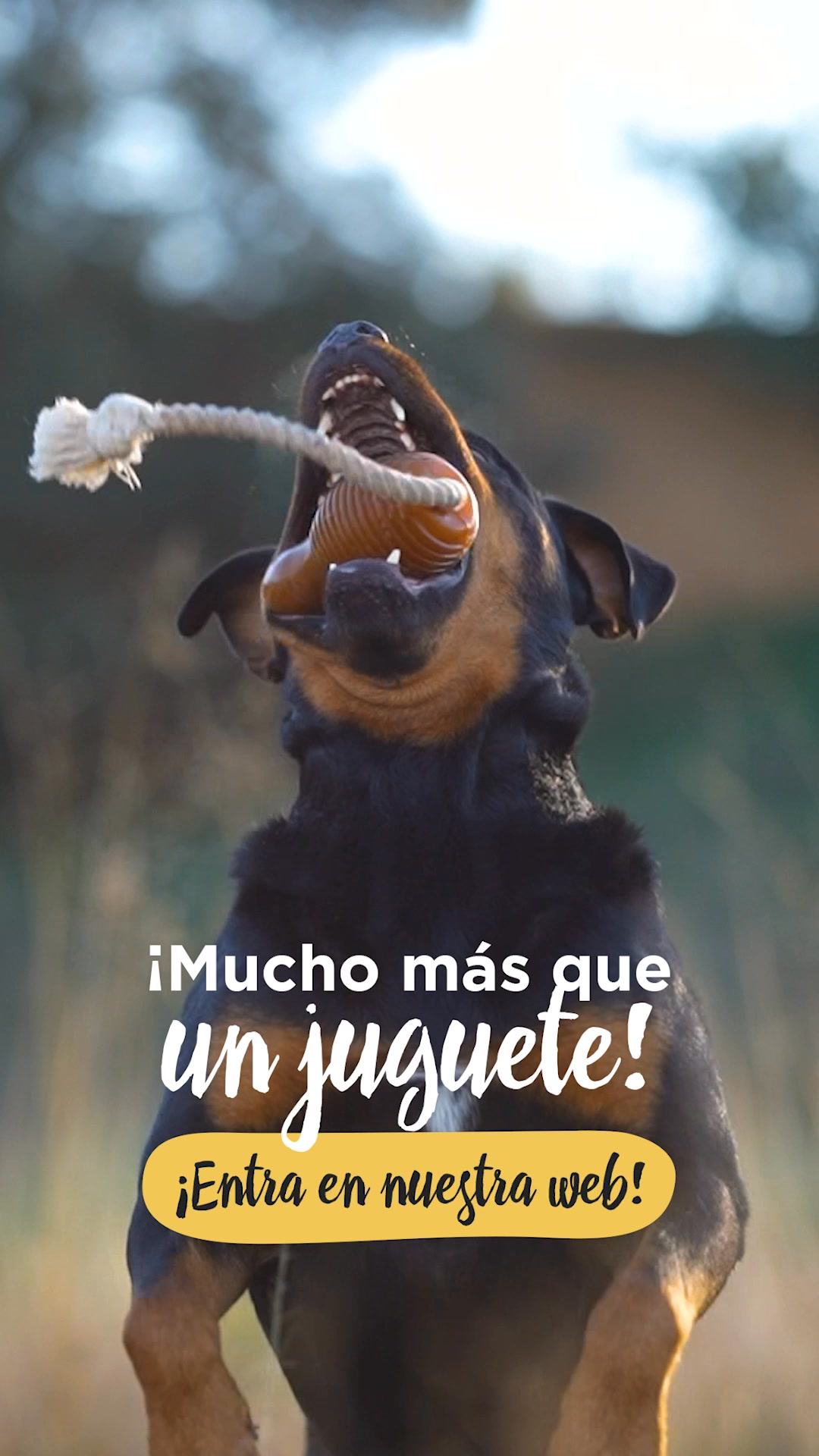 Descubre la alimentación natural para tu peludo.