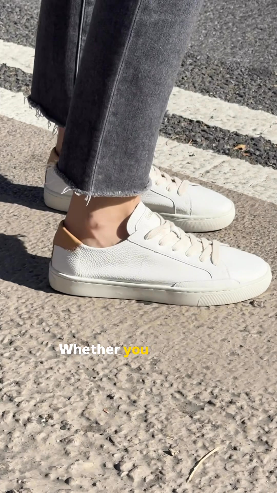 Over 1,000 ⭐️⭐️⭐️⭐️⭐️ Reviews — Meet the Ibiza