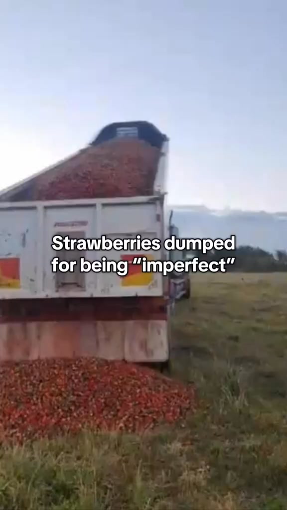 Save Australia’s Sweetest Berries 🍓