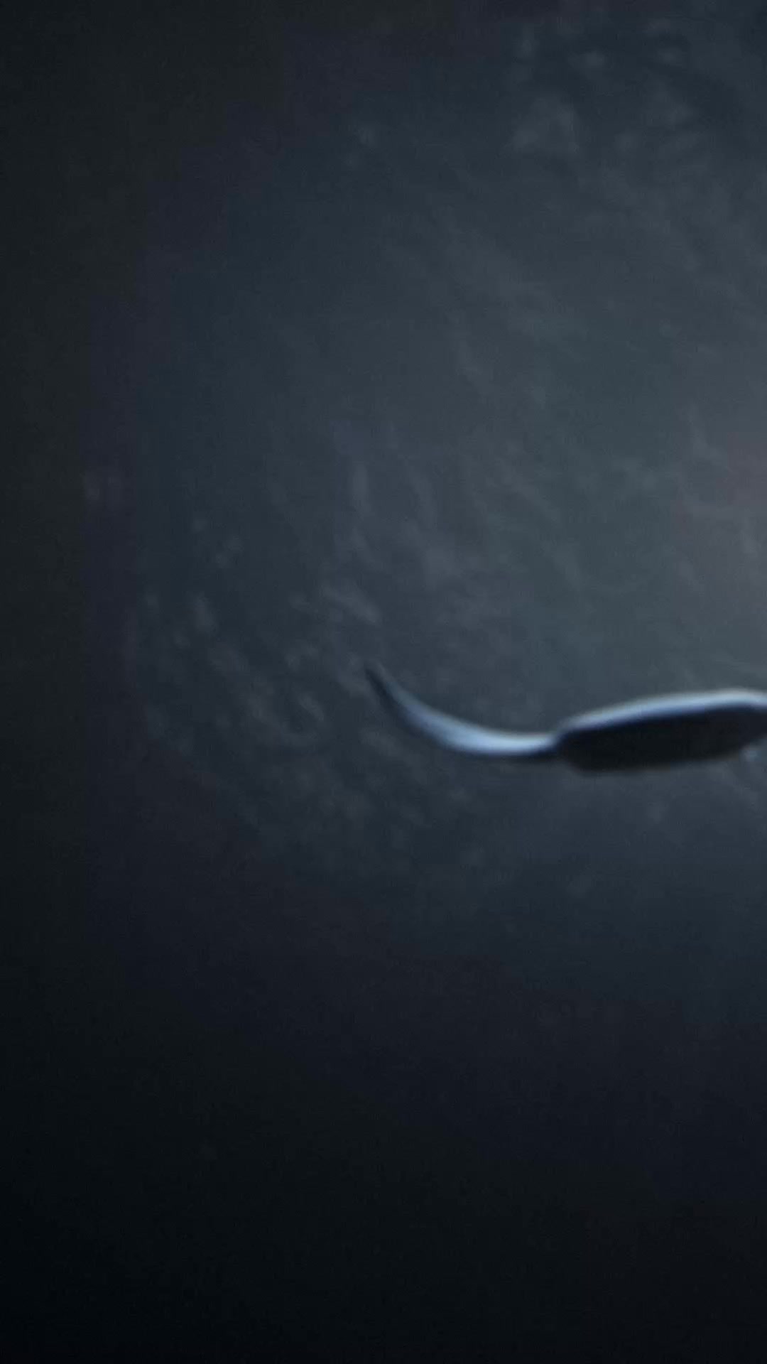 Supernote Manta: Dive into Mind Flow