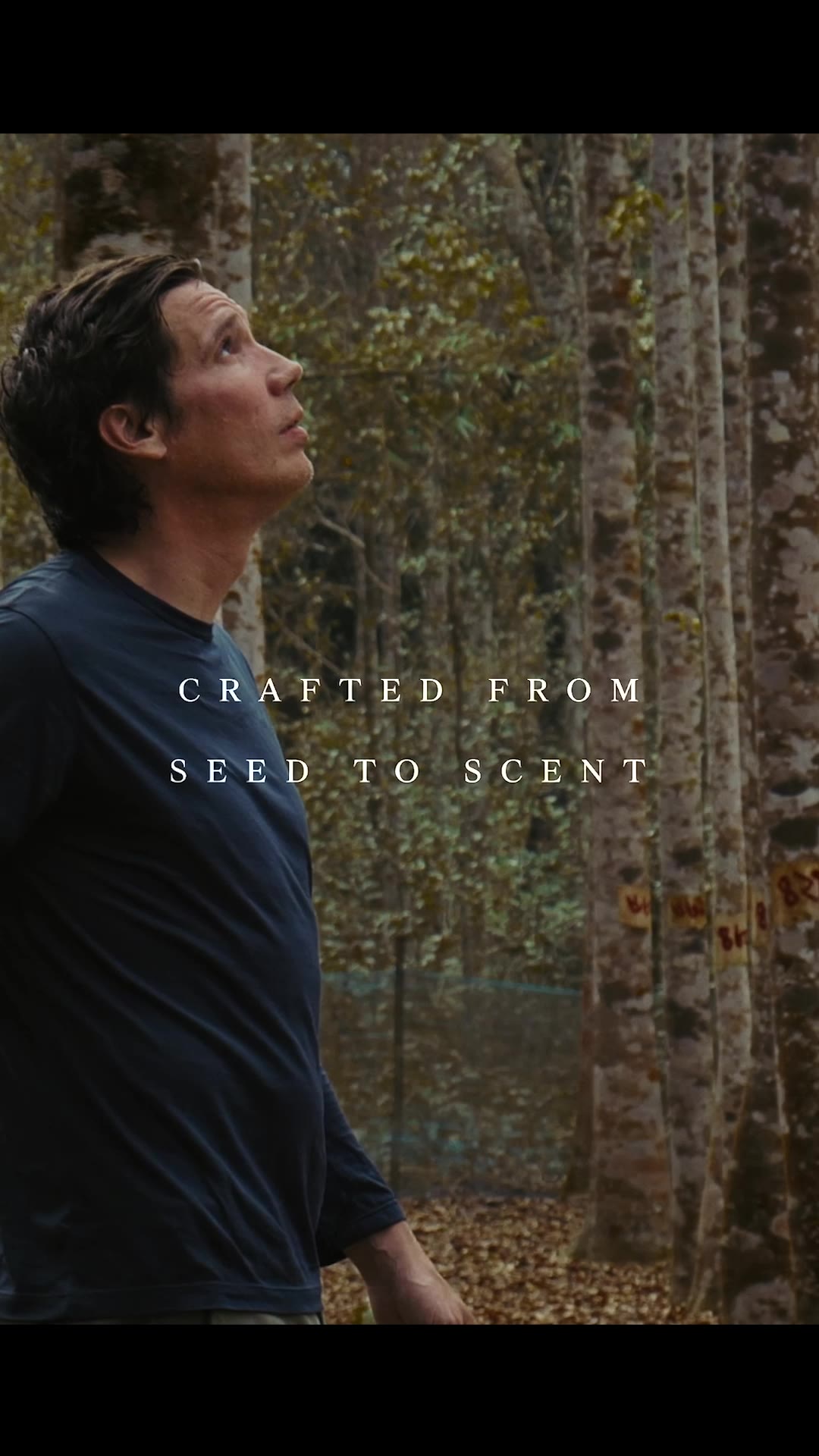 Von der Saat bis zum Duft