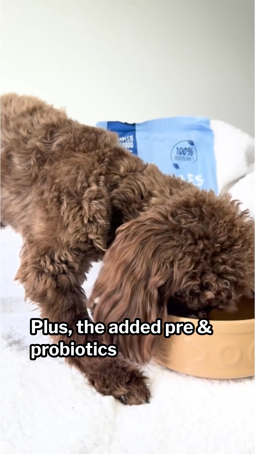 Try With Up To 33% Off!