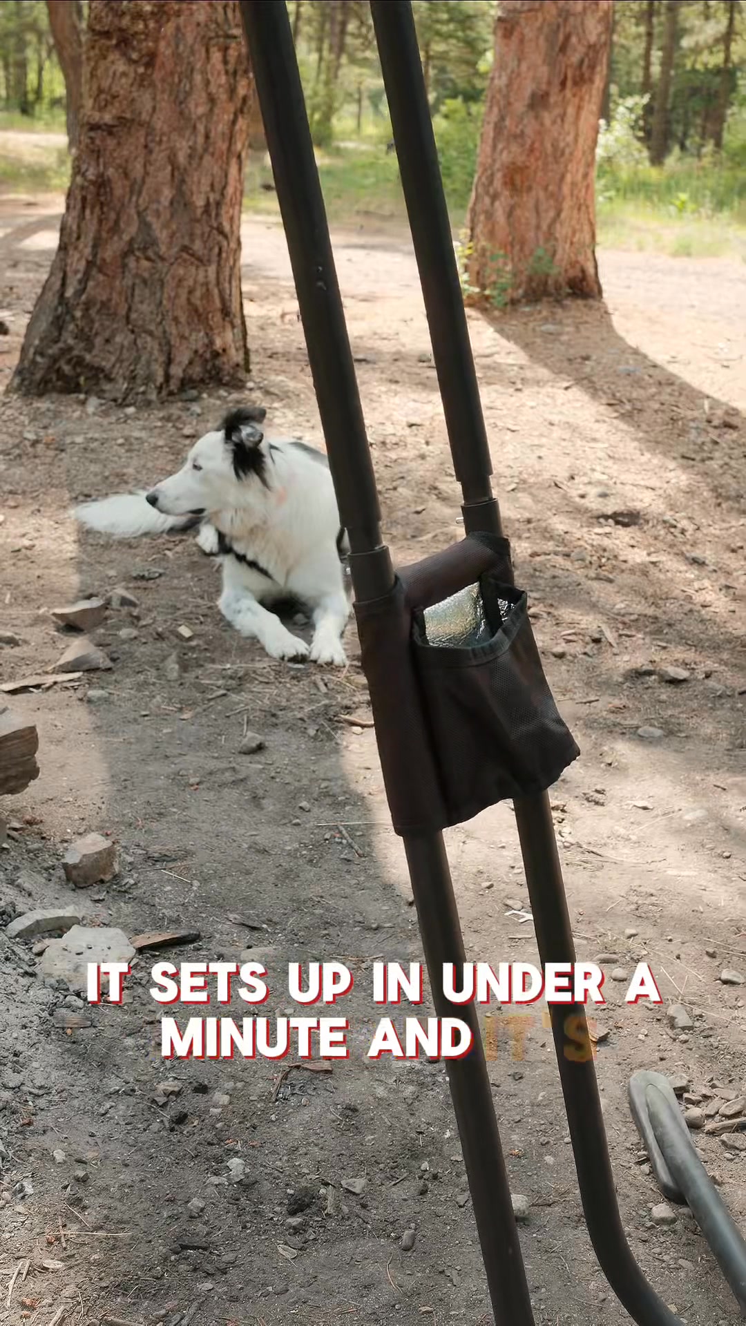 Meet the world’s best hammock…