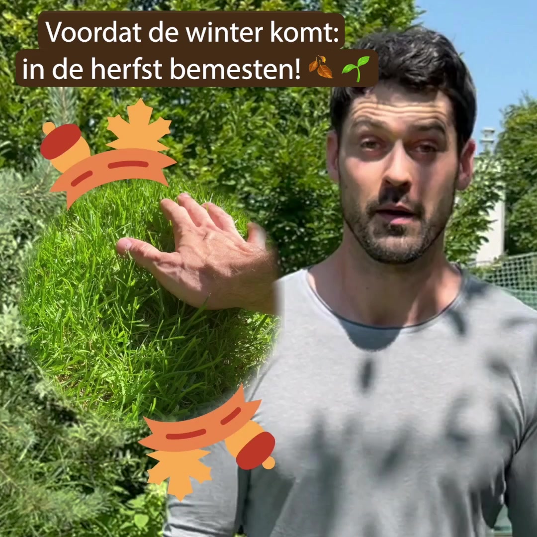 Weelderig groen in 7 dagen: sla nu je slag! 🌱💪