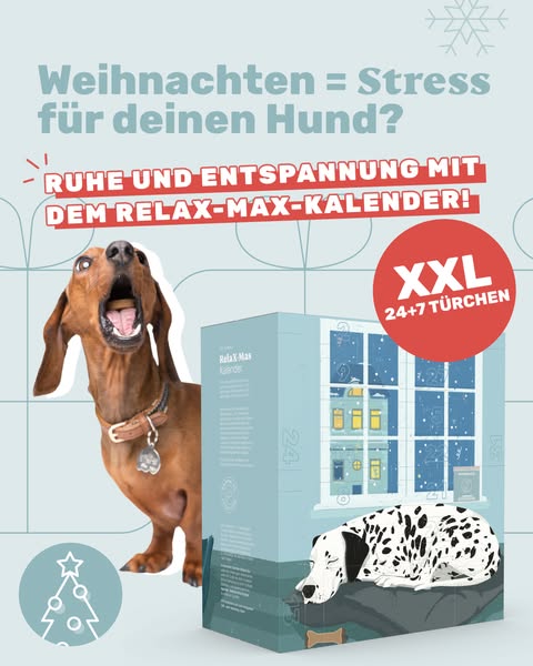 Limitierte Auflage: 31 Tage Entspannung für deinen Hund 🐾