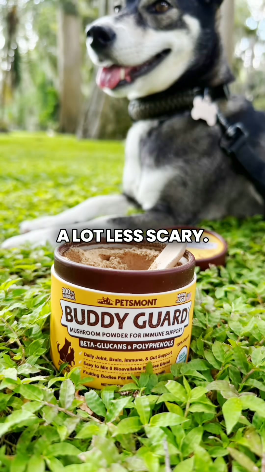 Get rid of your pet's lumps and bumps at home