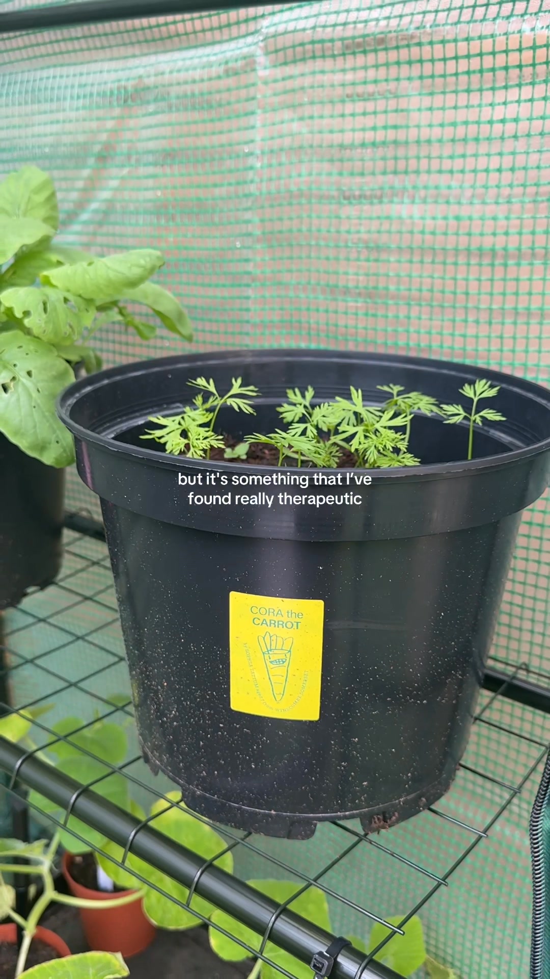 TRY A BOX THIS MONTH 🤠