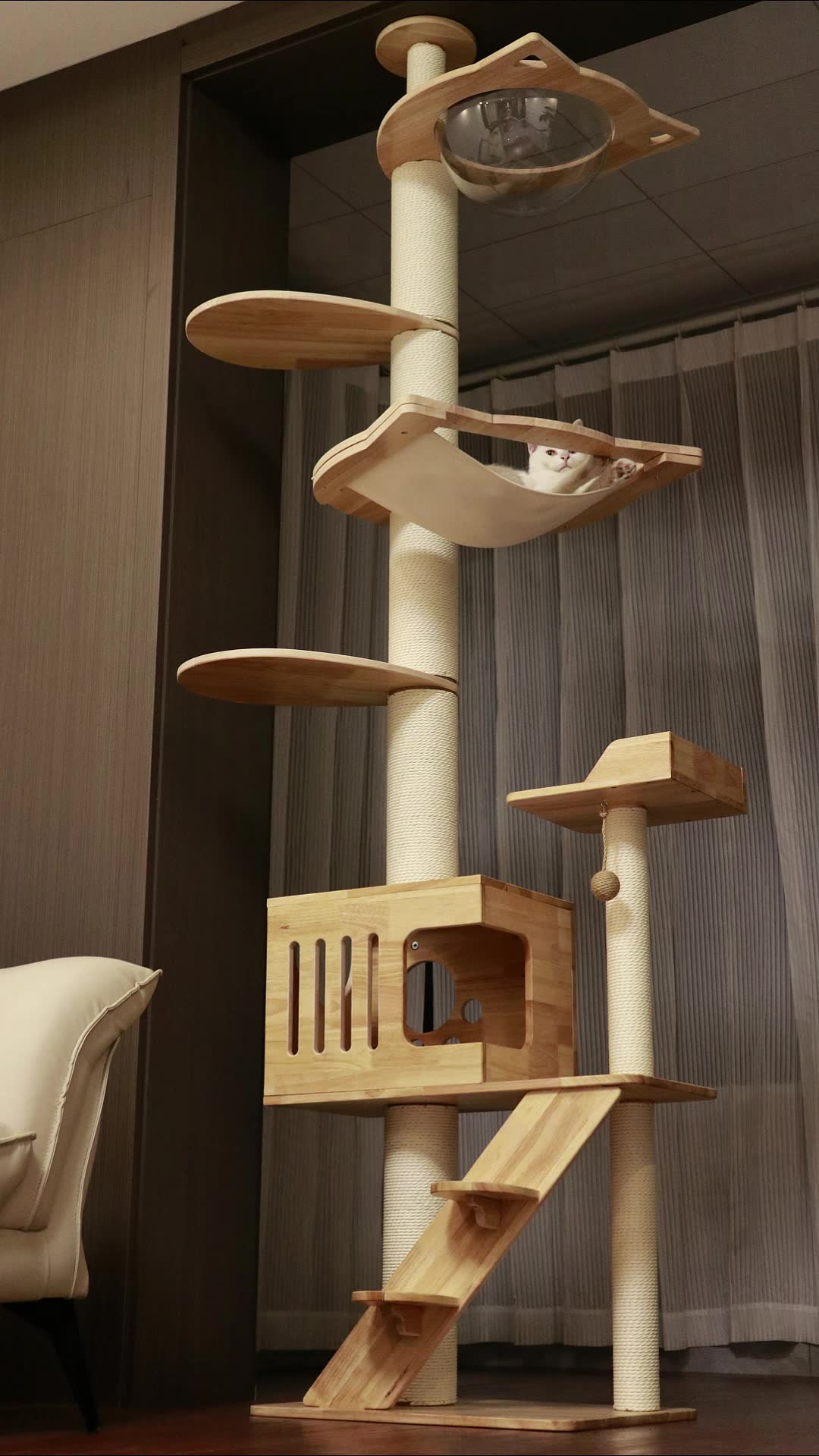 Let Your Cat Explore More 🏡 The Smartest Cat Tree Yet!