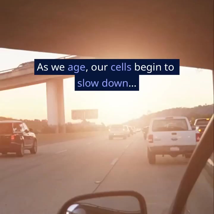 Reverse Your Biological Age