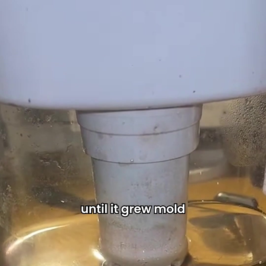 50% Off + 6 Months Free Filters