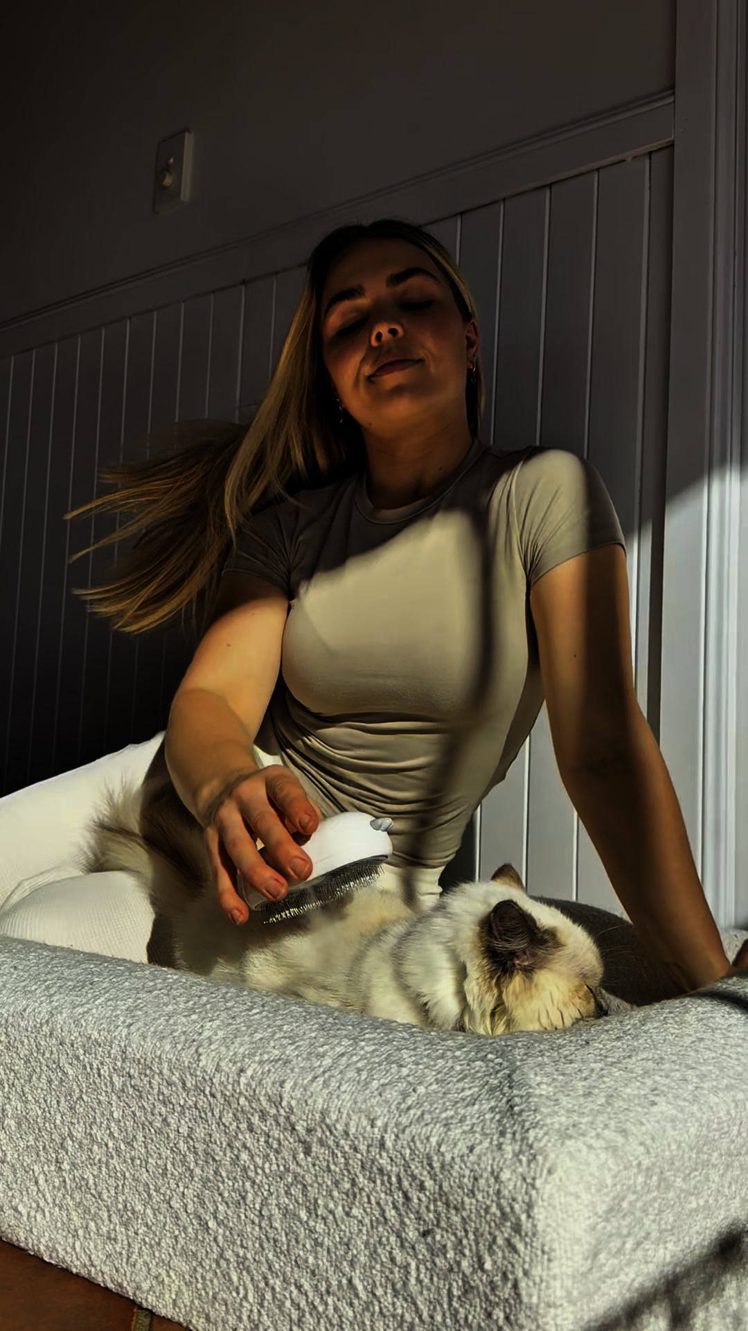 Cat Slicker Brush With Steam