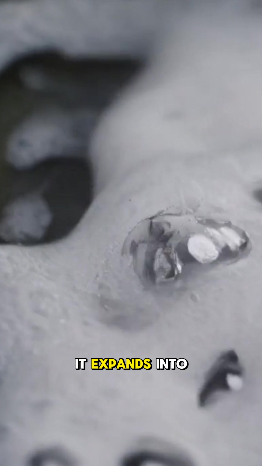 Bye-bye Flies, Hello Clean Pipes!