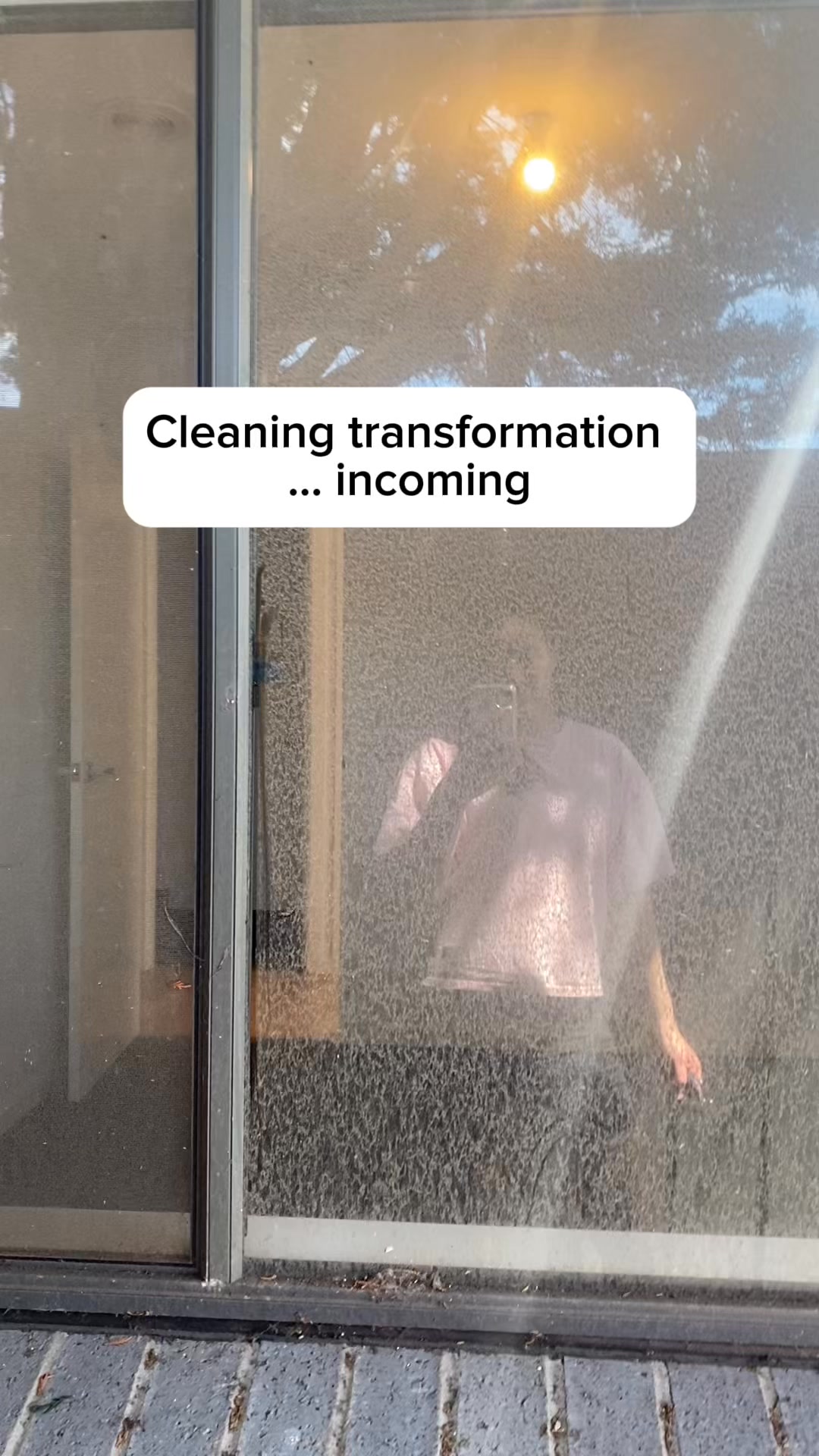 One bottle, every surface.