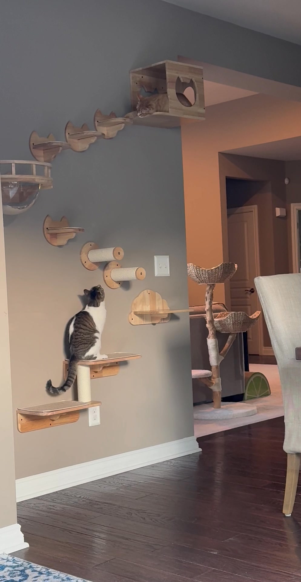 Space-Saving Vertical Play