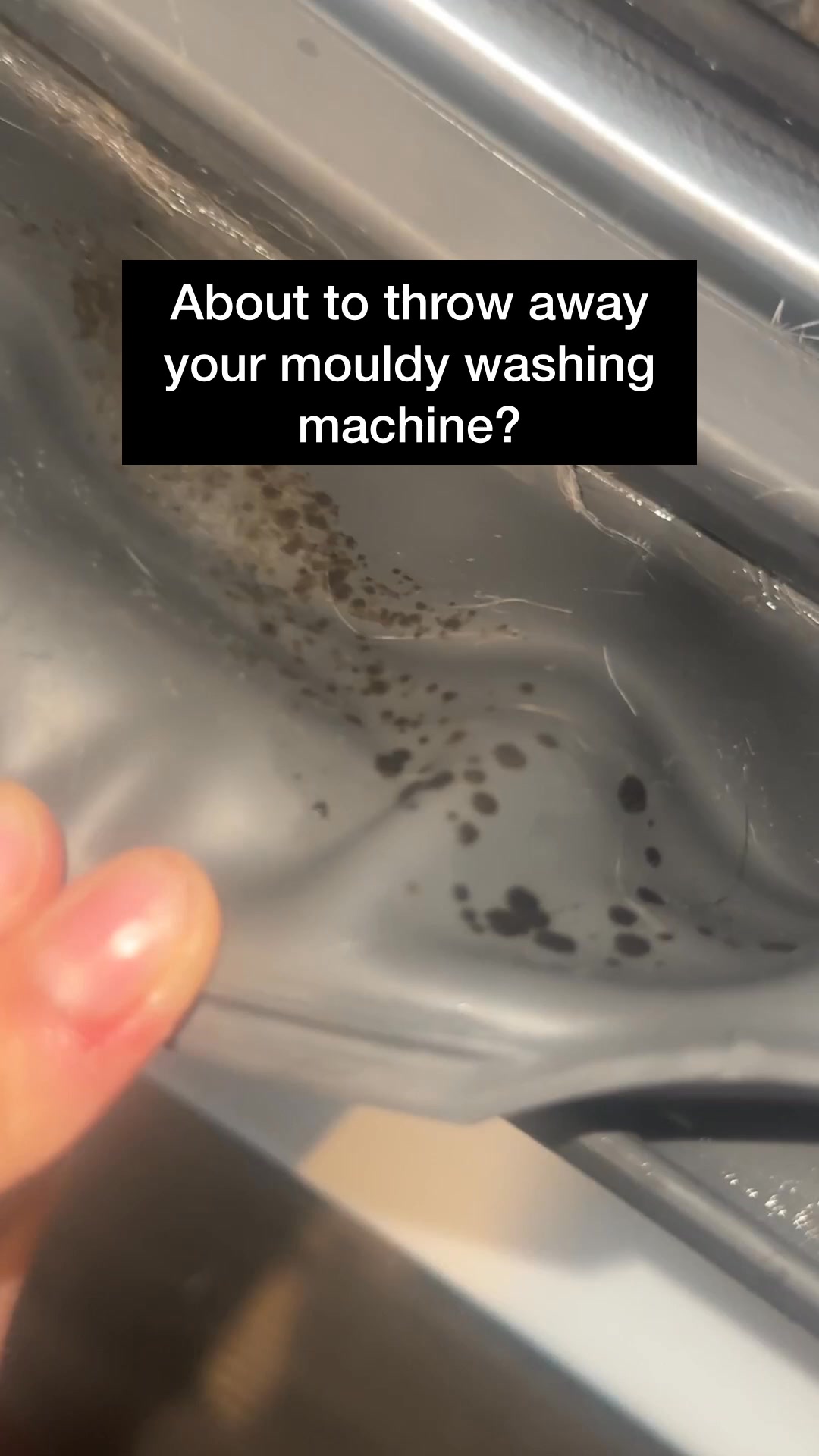 Struggling with mould in your washing machine?

Washing machines are the perfect environment for mould — warm, damp, and dark.

That musty smell on your clothes? It’s probably hiding inside your machine.

Remove tough mould from our washing machine seal with our Miracle Mould Removal Gel

Get yours today -> glassguard.com.au/miracle-mould