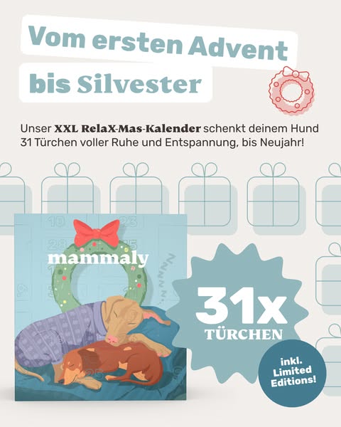 Limitierte Auflage: 31 Tage Entspannung für deinen Hund 🐾