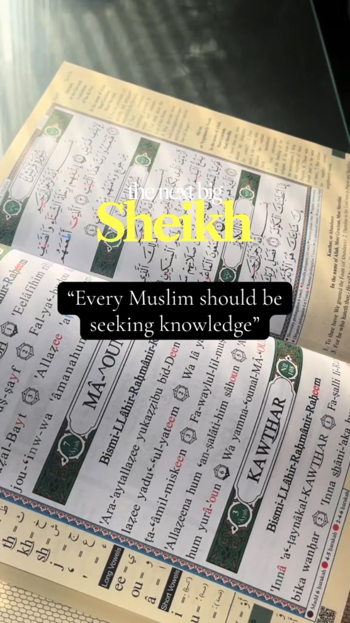 📖Each Surah Explained in Just 1 Page!