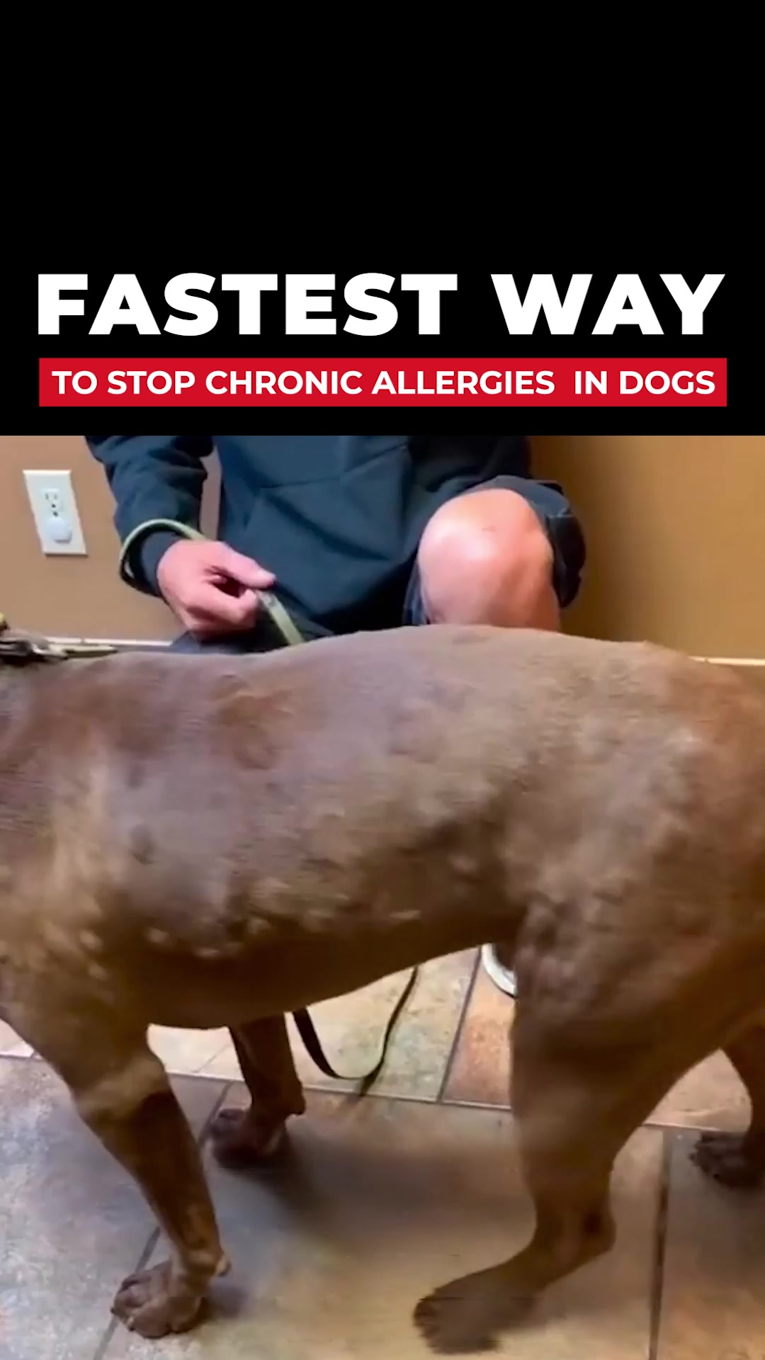 #1 Treat for Itchy Skin