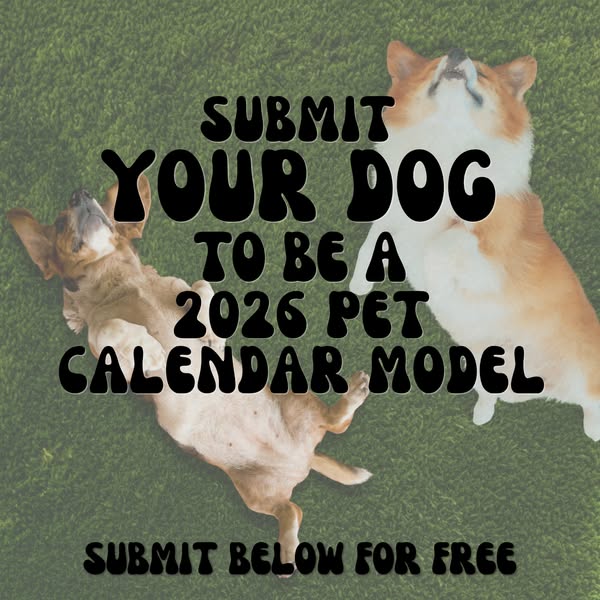 Submit YOUR PUPPY! 📸 🐶
