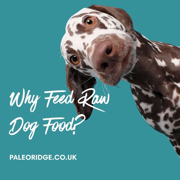 Get 20% Off Your 1st Two Orders