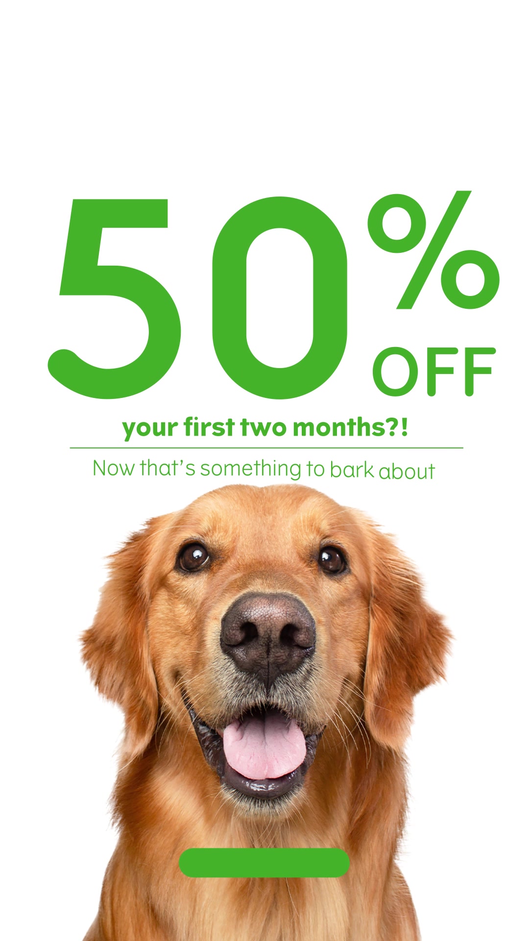 Joint Care supplements for dogs