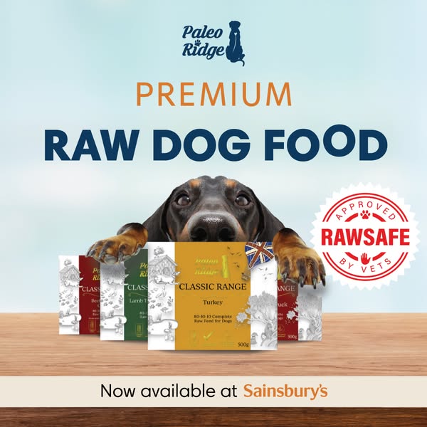 Healthy Raw Dog Food Now in Sainsbury's