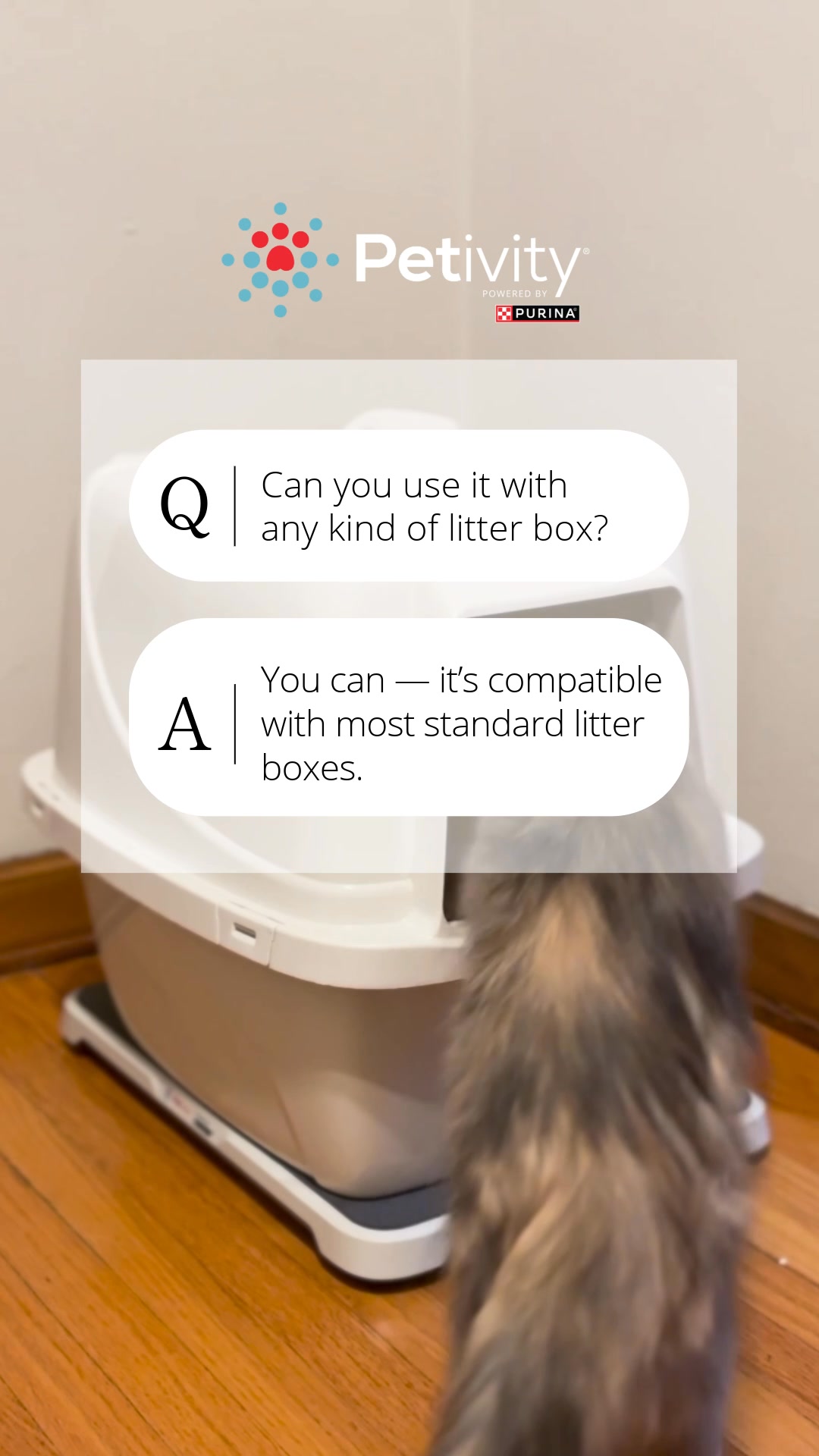 Smart Litter Box Monitor ​