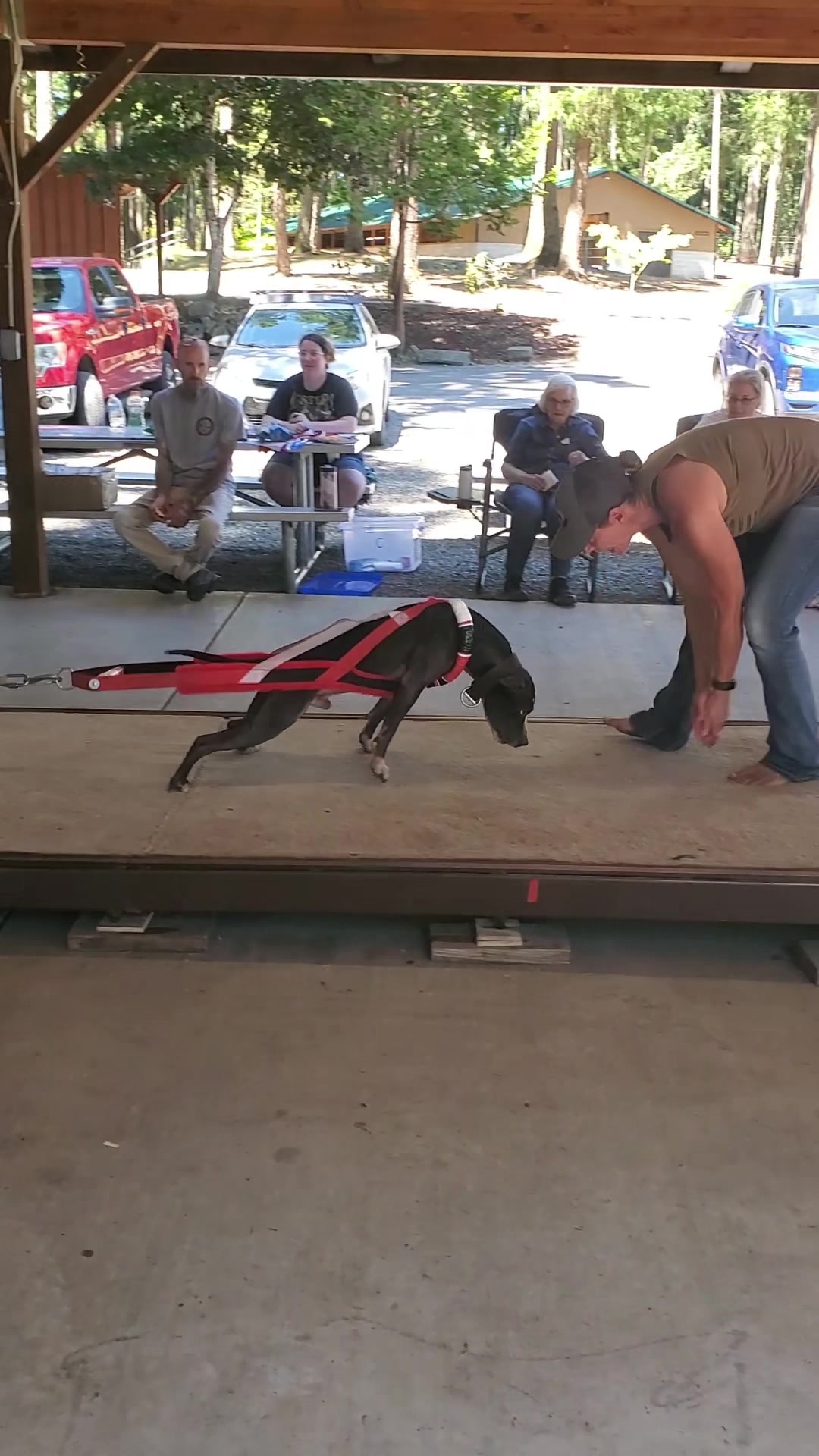 Vinny crushing the weight pull