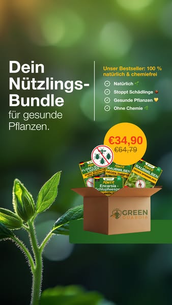 Natürlicher Schutz vor Schädlingen – wirksam & umweltfreundlich 🌿