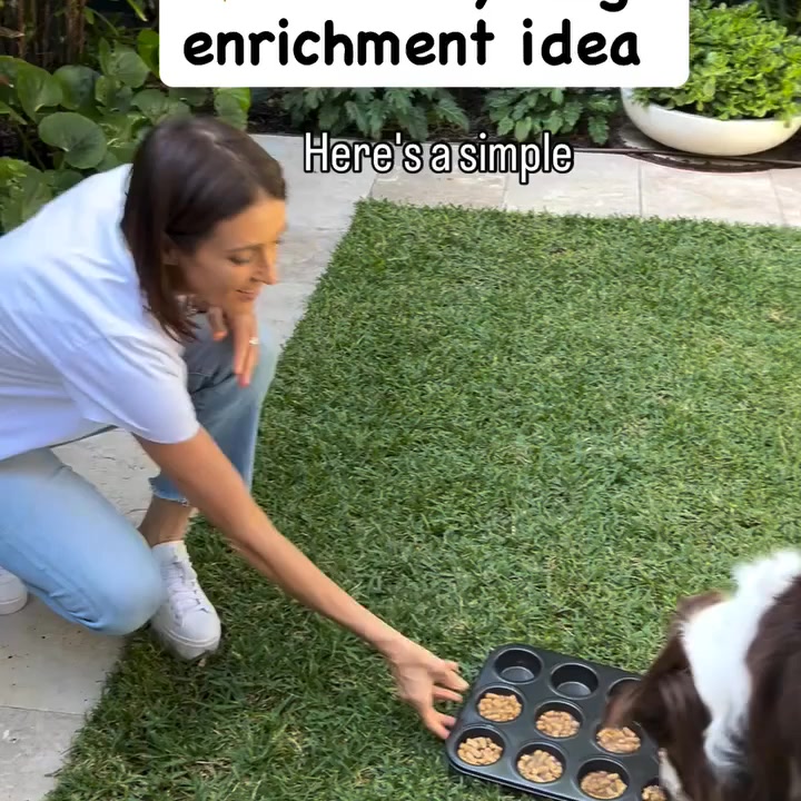 A Summer Tip from Dr Katrina