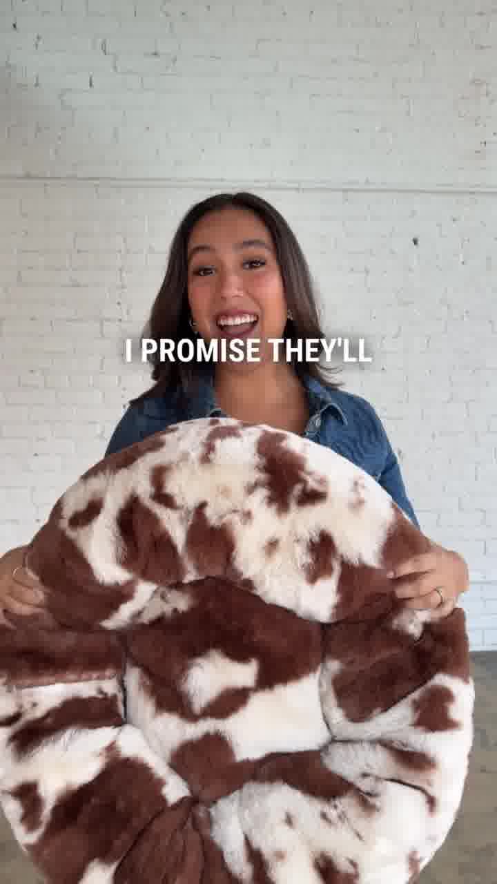 Cozy Comfort for Pets