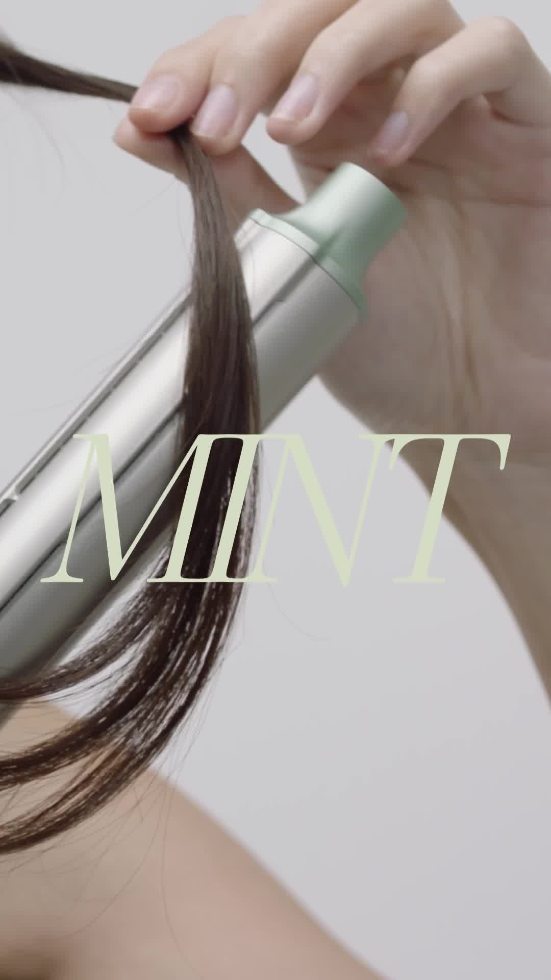 Meet Mint