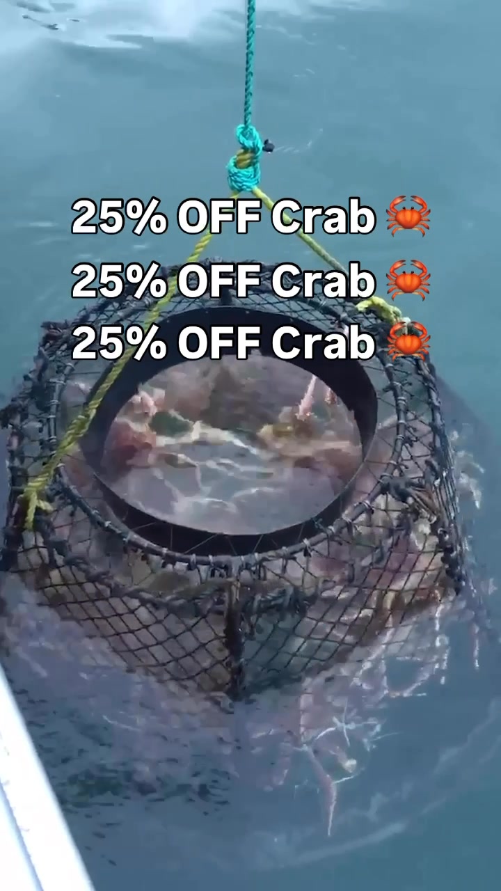 Wild-Caught American Seafood