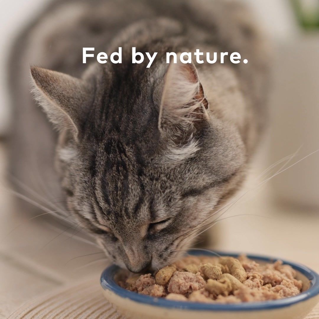 Peak nutrition starts here