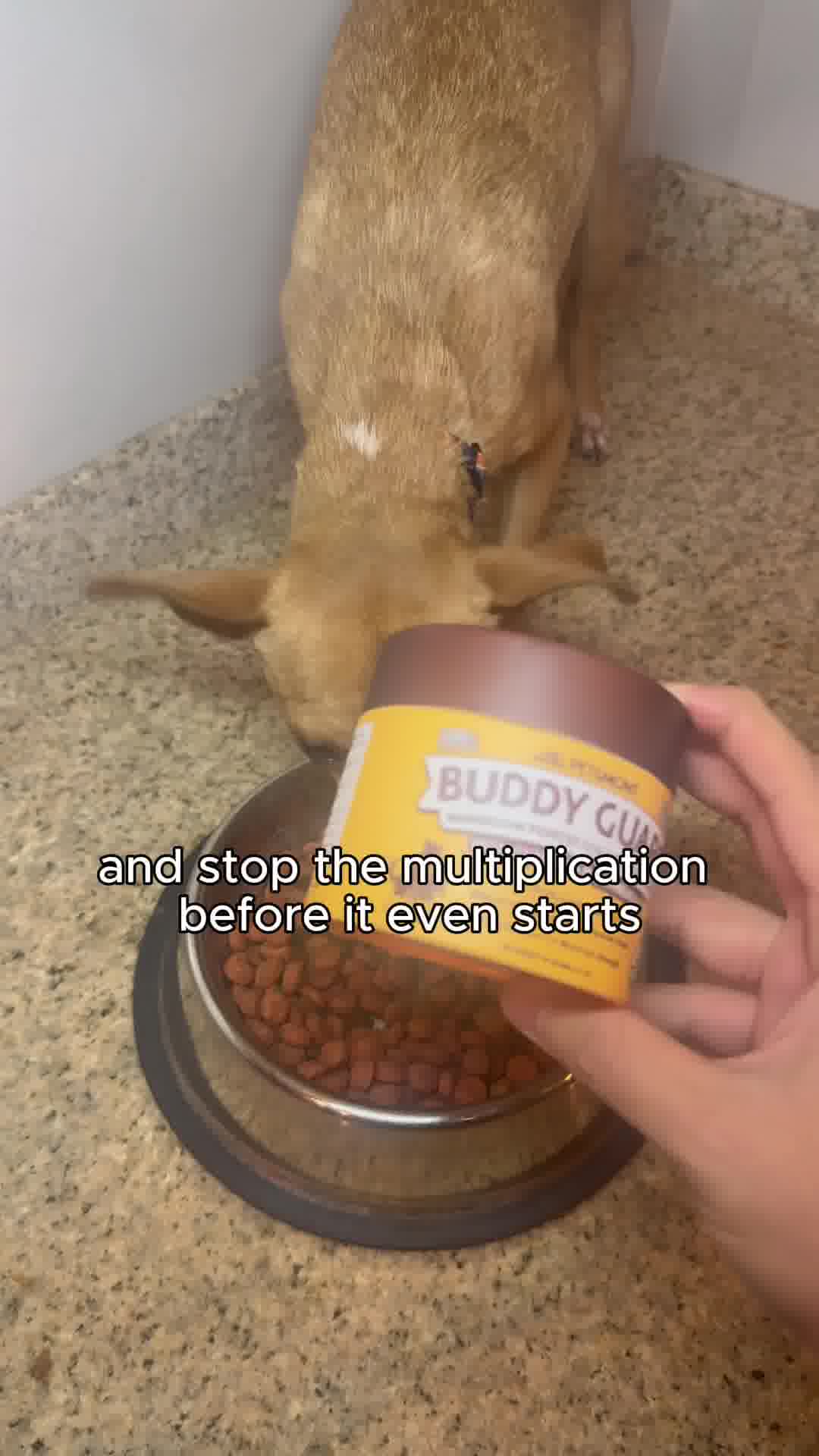 Get rid of your pet's lumps and bumps at home