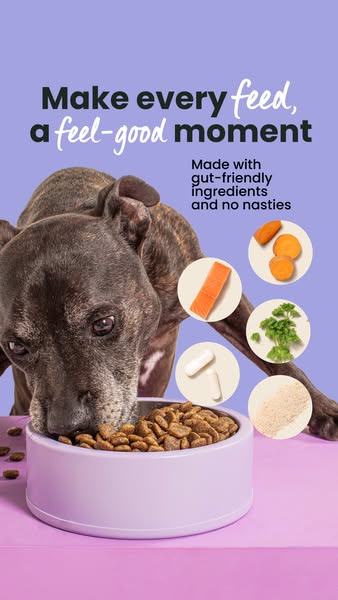 Perfect For Sensitive Stomachs