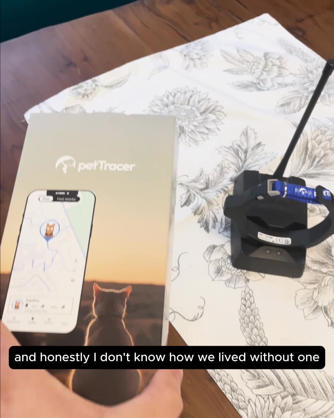 Track Your Cat with PetTracer