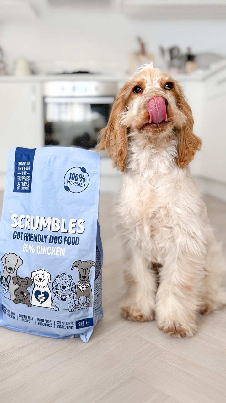 POV: Your puppy is convinced they haven’t eaten in years (even though breakfast was 10 minutes ago) 🍽
Are they actually hungry, or just playing you with their irresistible puppy eyes? 🥹 Learn more about feeding a puppy in our new blog post - the link is in our bio! 😉
@theadventuresofsweep
#scrumbles #lovescrumbles #puppiesofinstagram
#puppies #puppiesofig #cockerspaniel #cockerspanielpuppy