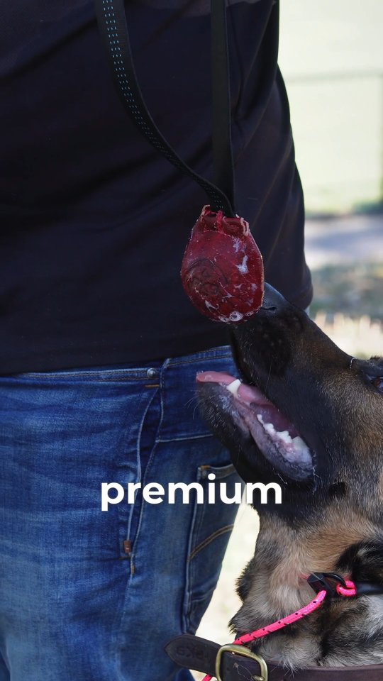 Can you guess what this toy is made from?

#dogslife #leather #handmade