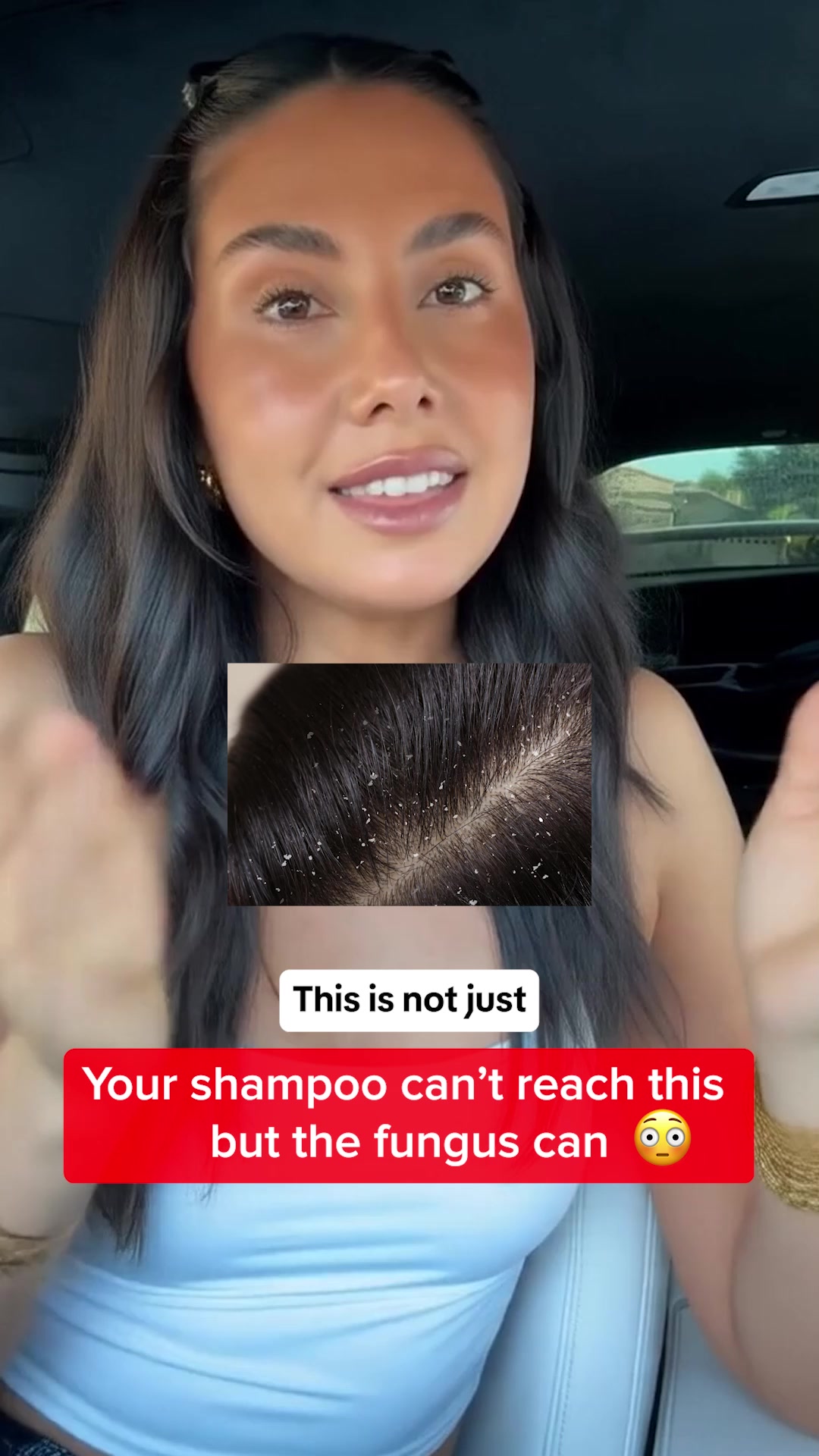 🧽 Flush Out What Doesn’t Belong – Feel the Reset