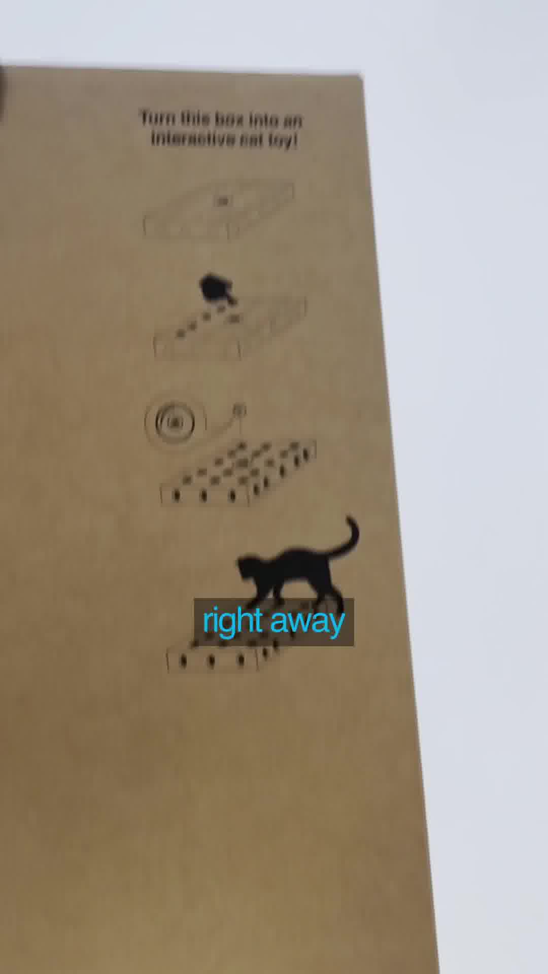 Where Modern Cats Do Their Business