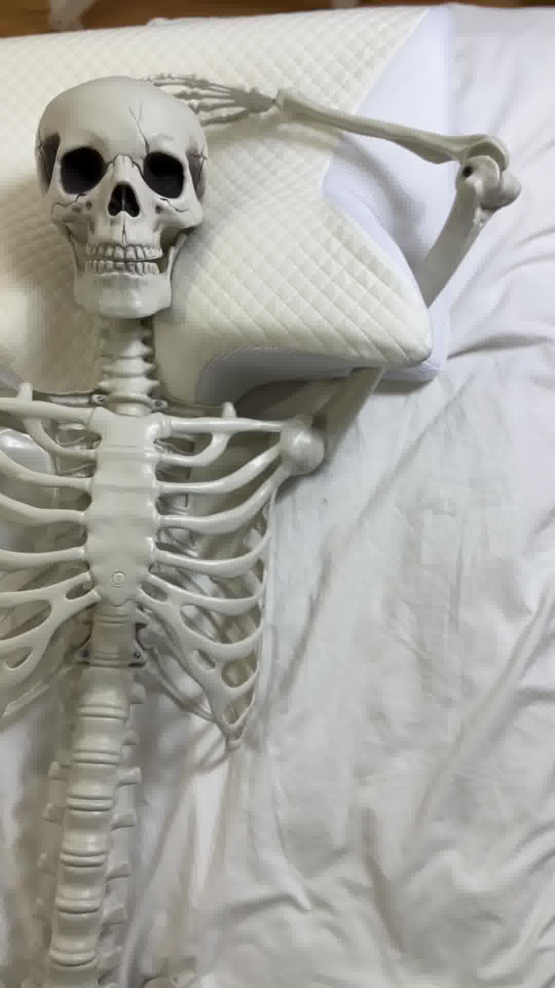 Livraison gratuite !