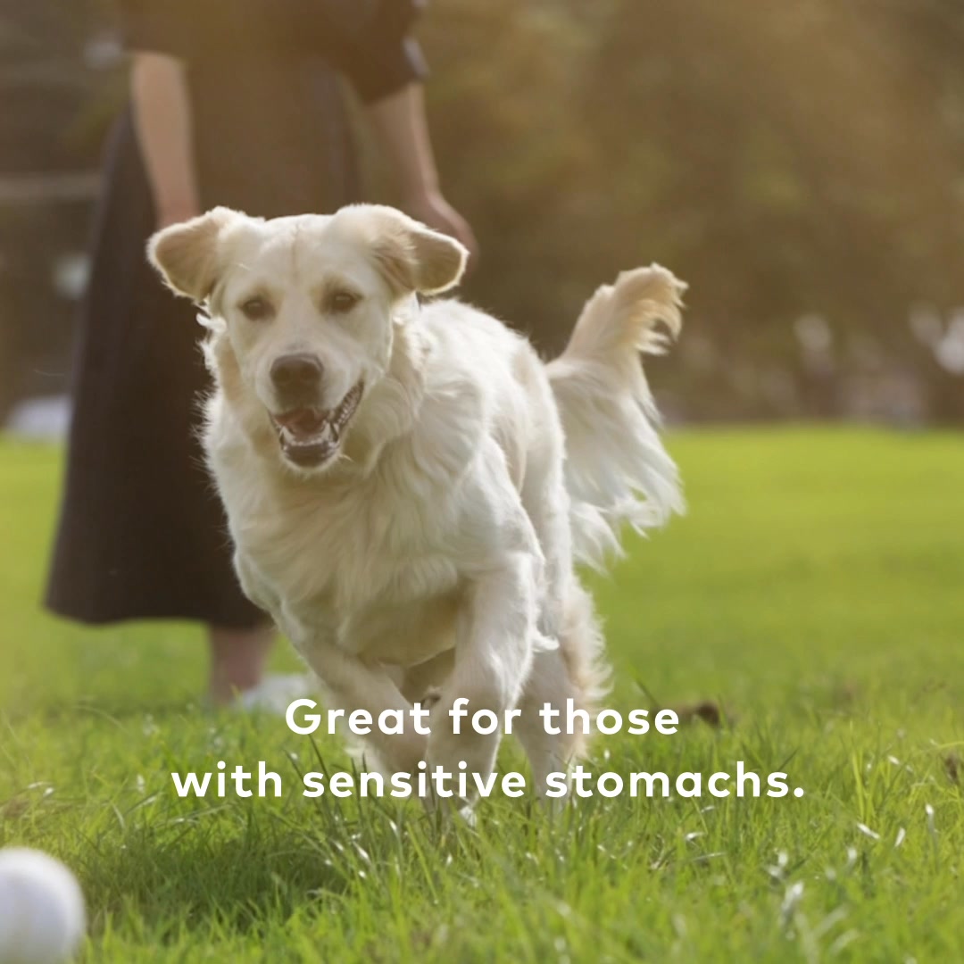 Unleash the taste of New Zealand