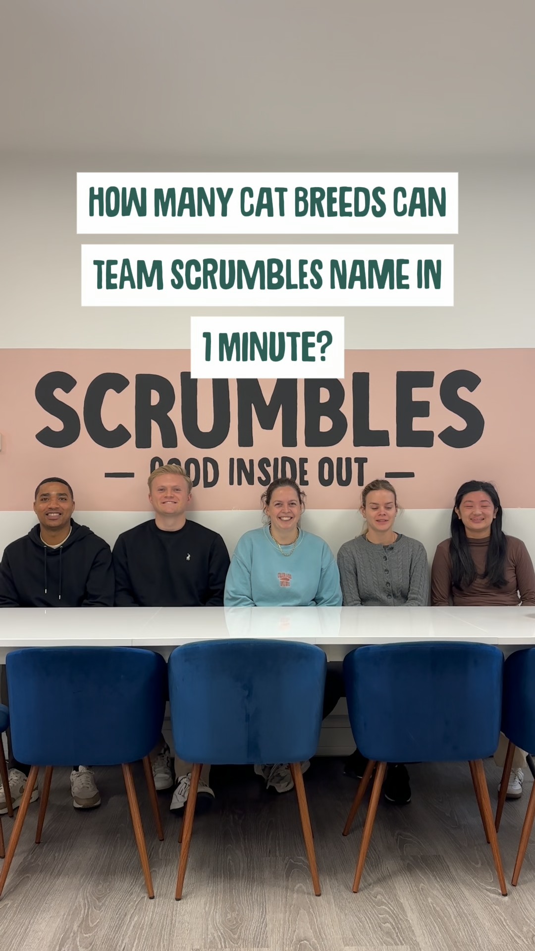Does a tiger count? According to our Charlotte it does 😉 It probably doesn't if you ask the CFA, who recognise 42 domesticated cat breeds! 🐈⬛
The Scrumbles team scored a grand total of 19 cats in 1 minute! Give it a go and see if you can beat our score 🤓
-
#scrumbles #lovescrumbles #officefun #cats
#catfacts #catquiz #catbreeds guessing cat breeds