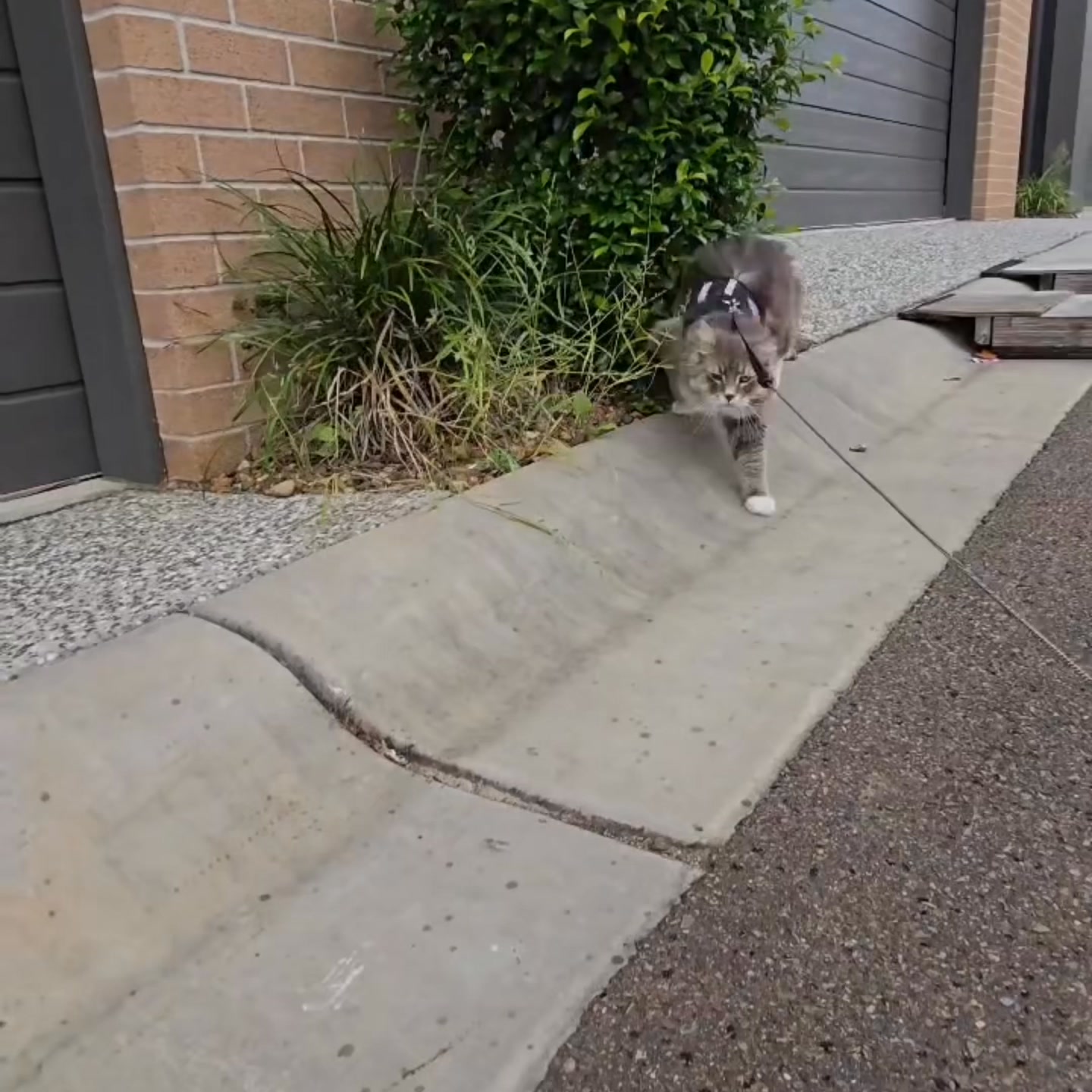 1500+ Happy Customer Reviews